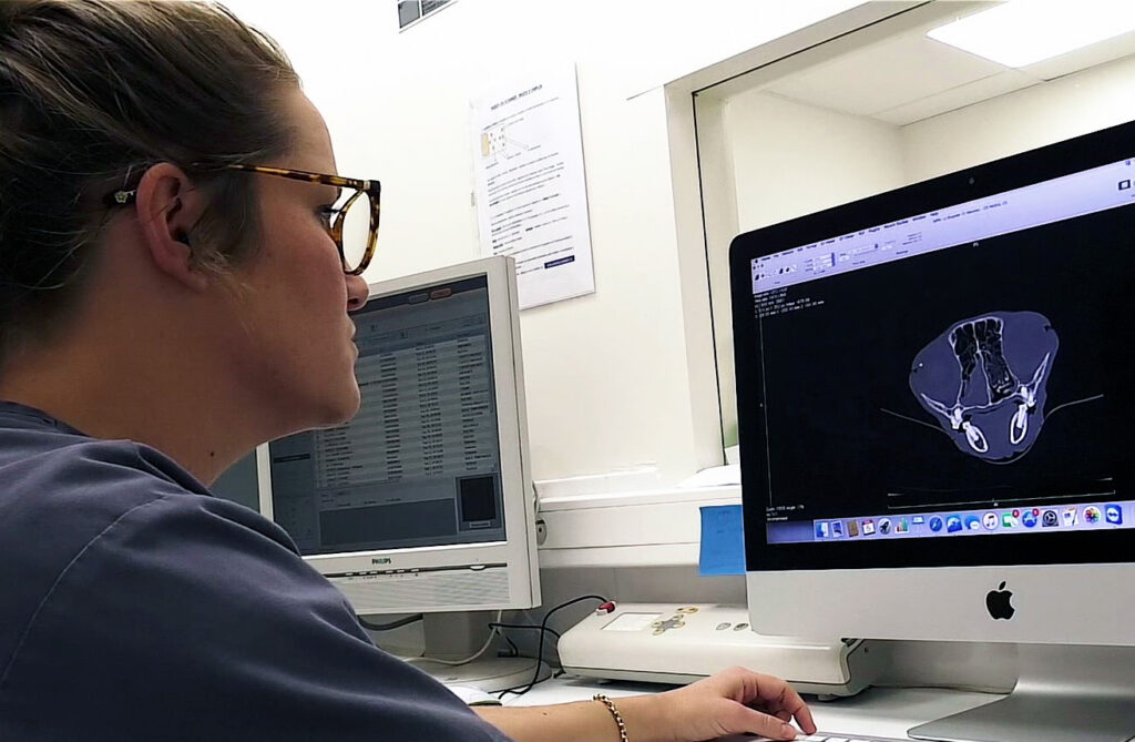 analyse scanner vétérinaire