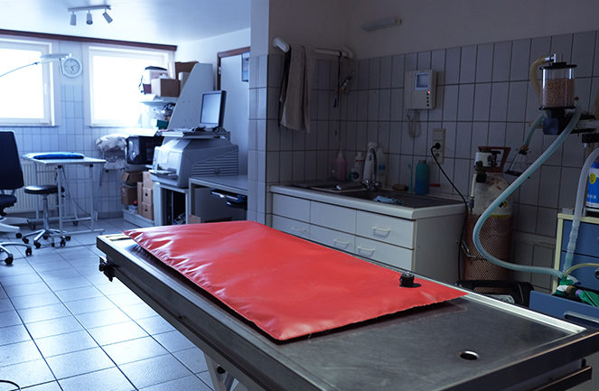 Cabinet Veterinaire Univet Massart Chir