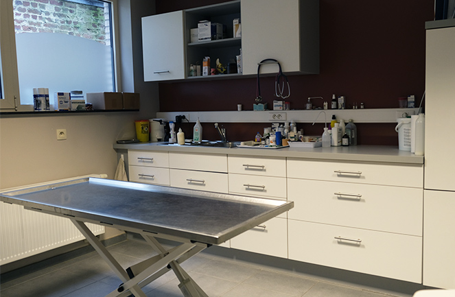 Cabinet Veterinaire Univet Massart Consult2