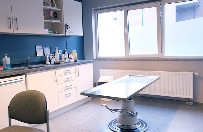 Cabinet Veterinaire Univet Massart Consult3