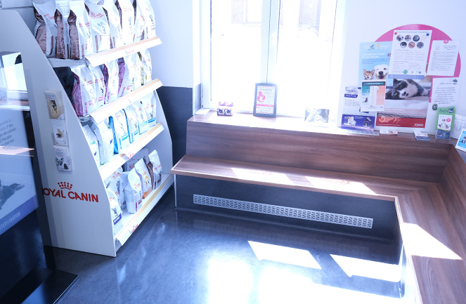 Clinique Univet Enghien Animalliance Attente Chat