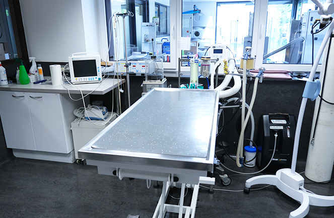 Clinique Univet Enghien Animalliance Chir1