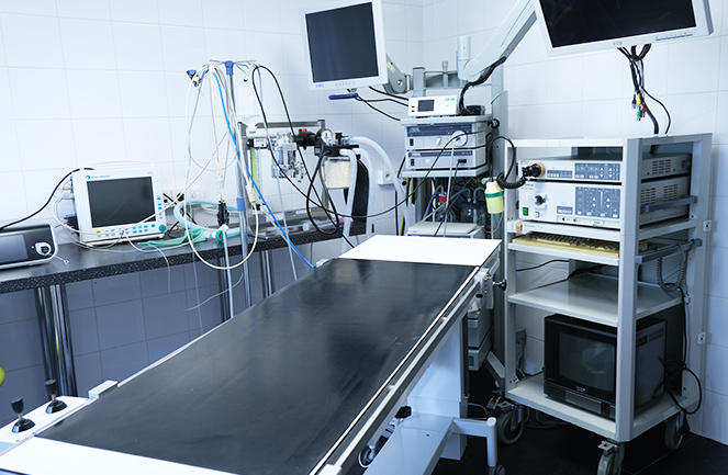 Clinique Univet Enghien Animalliance Chir2