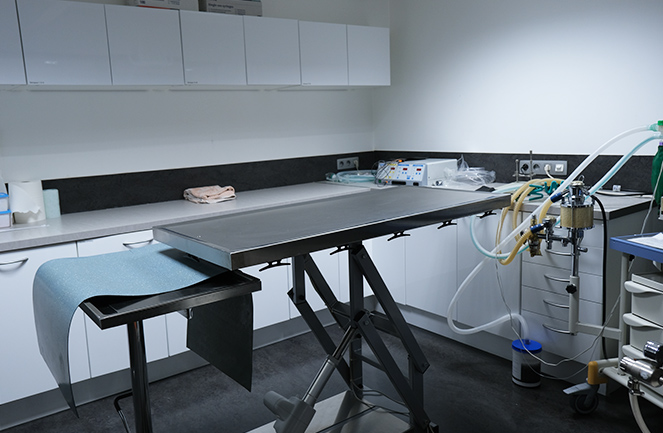 Clinique Univet Enghien Animalliance Chir3