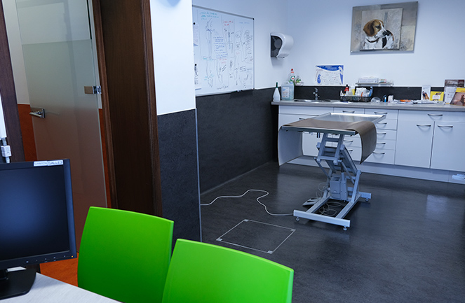 Clinique Univet Enghien Animalliance Consult3