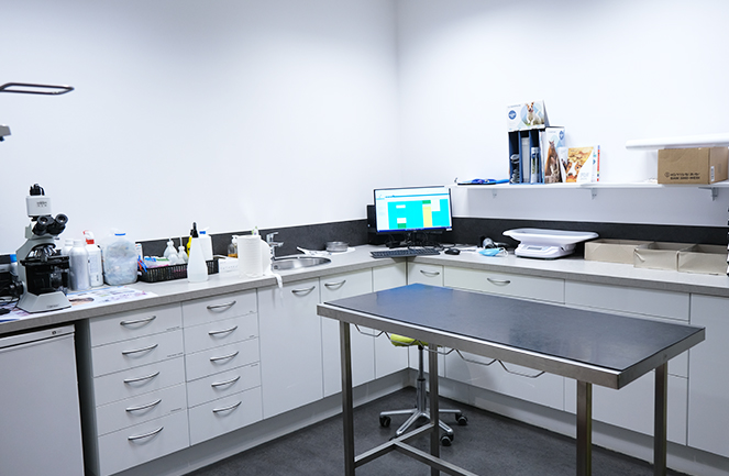 Clinique Univet Enghien Animalliance Consult4