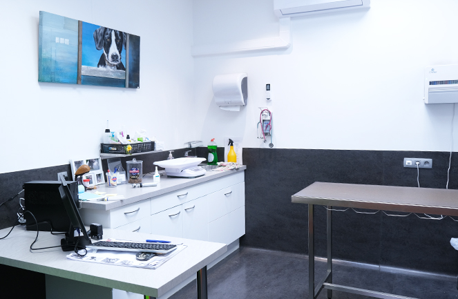 Clinique Univet Enghien Animalliance Consult5