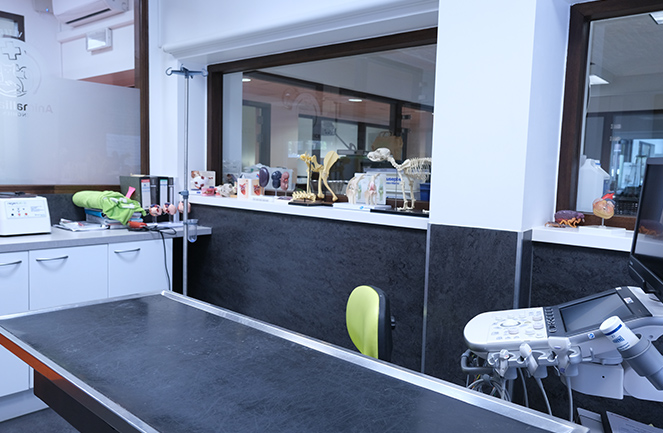 Clinique Univet Enghien Animalliance Echo