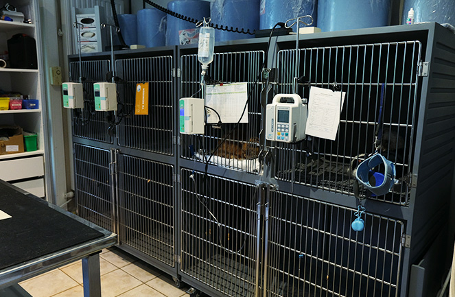 Clinique Veterinaire Univet Kasteel Vetcare Chenil