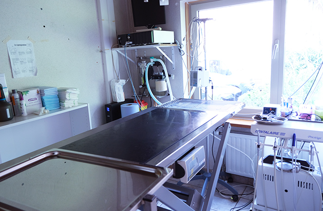 Clinique Veterinaire Univet Kasteel Vetcare Chir