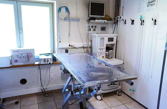 Clinique Veterinaire Univet Kasteel Vetcare Chir2