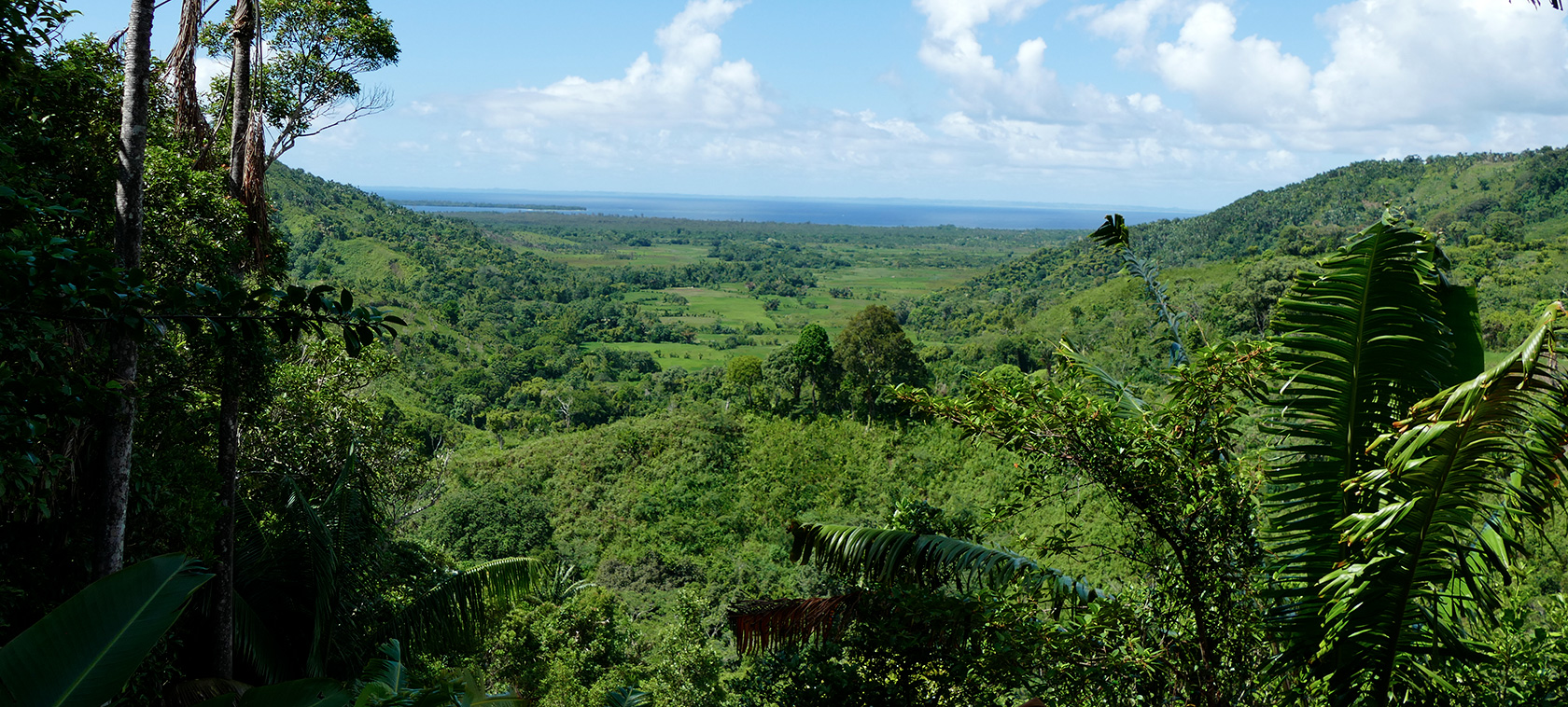 Vue sur la nature de Madagascar, représentant la biodiversité et les paysages protégés par Univet Nature.