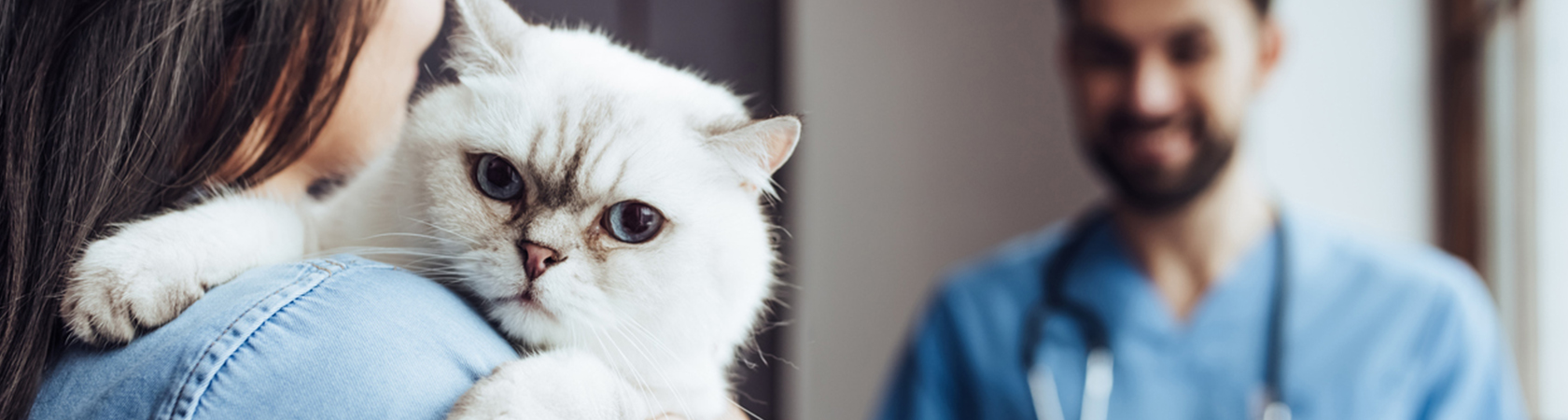 Clinique Vétérinaire Animal Clinic Univet Uccle