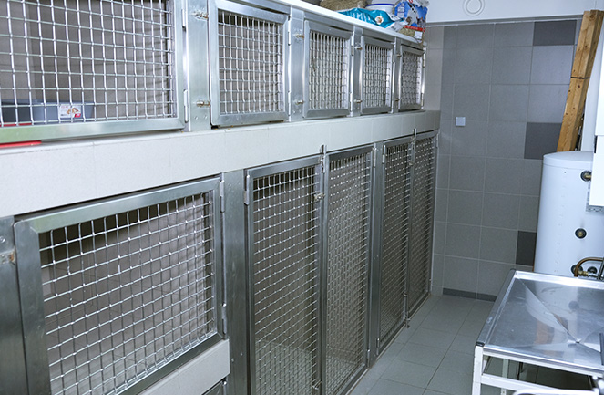 Cabinet Veterinaire Univet Pepinster Chenil