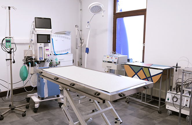 Cabinet Veterinaire Univet Pepinster Chir