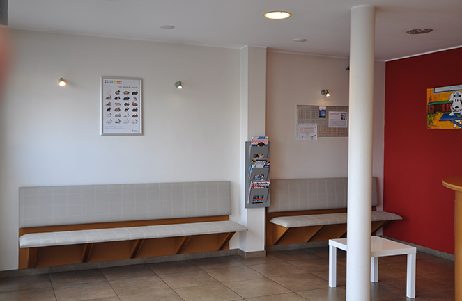 Centre Veterinaire Univet Abyssin Attente