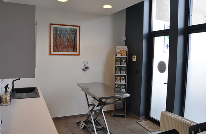 Centre Veterinaire Univet Abyssin Consult1