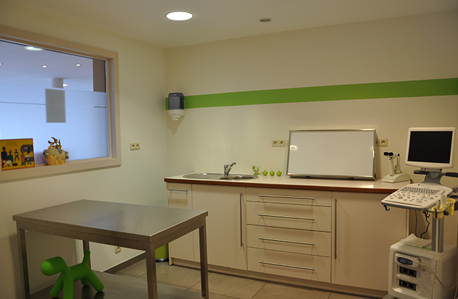 Centre Veterinaire Univet Abyssin Consult2