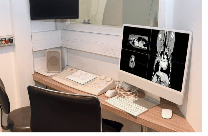 Poste de travail vétérinaire affichant des images de scanner CT-scan pour le diagnostic médical des animaux