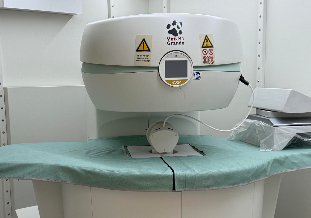 Appareil IRM vétérinaire au Centre vétérinaire Univet Wavre Beumont